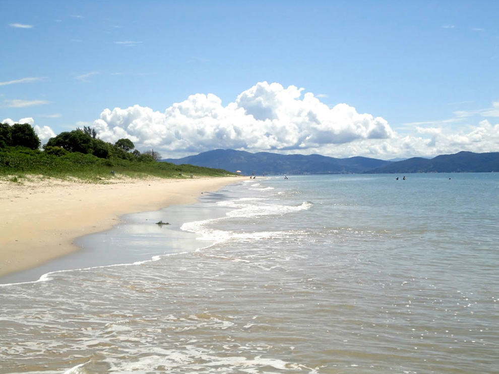 Praia da Daniela / SC