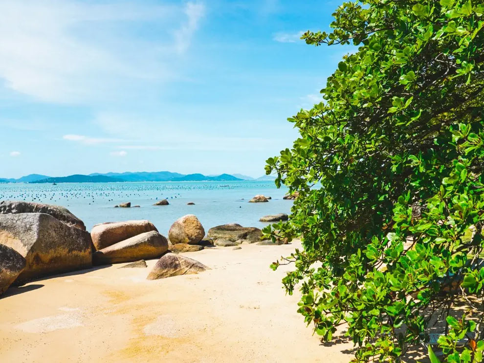 Praia da Ponta do Leal / SC